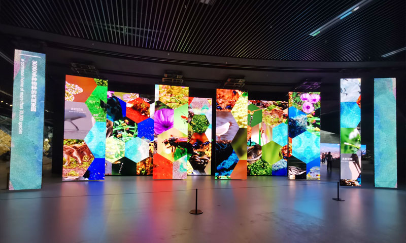 ຊຸດໂມດູນ LED